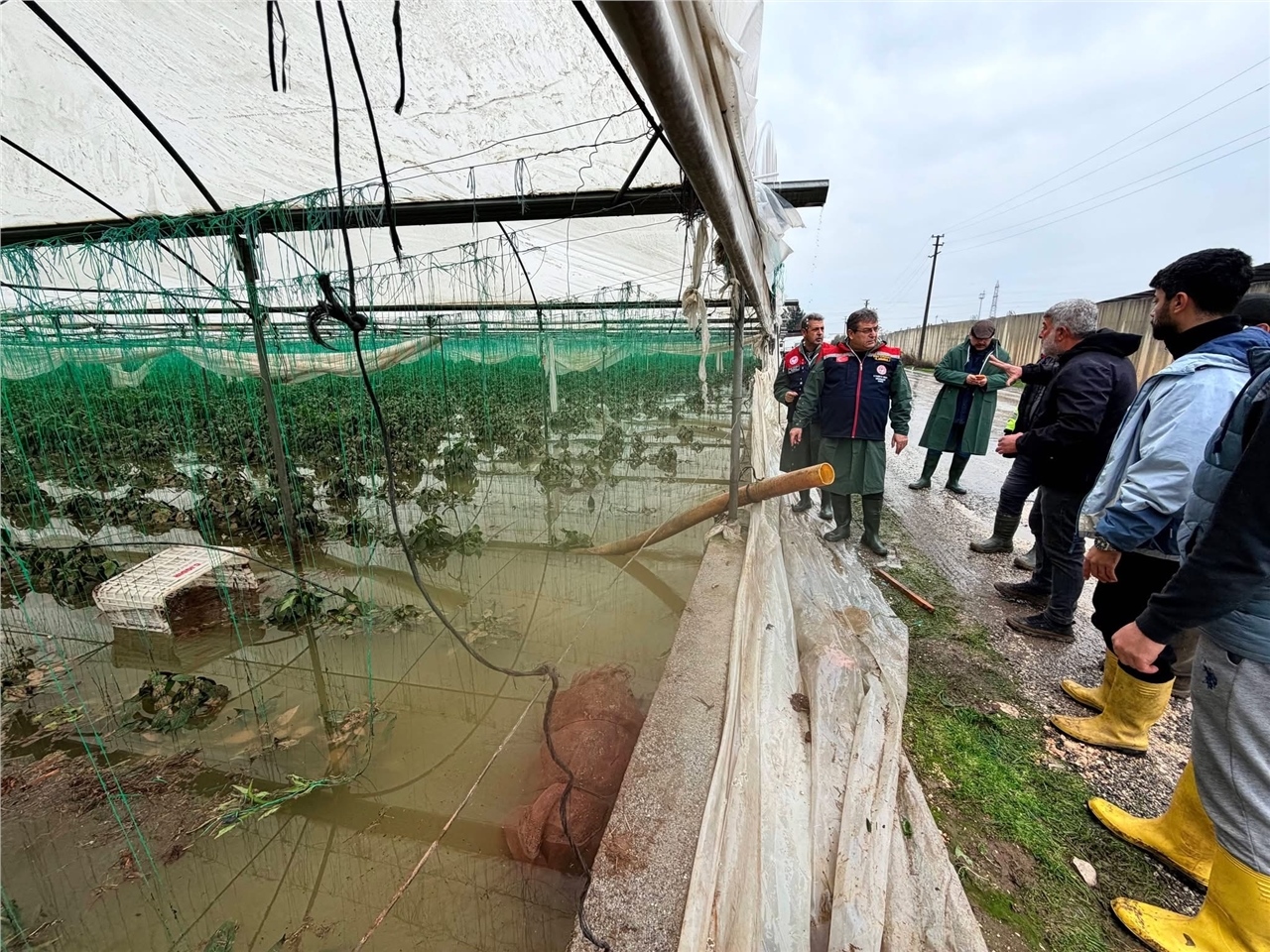 Mersin İl Tarım ve Orman Müdürü Karadağ Akdeniz İlçesinde İncelemelerde Bulundu