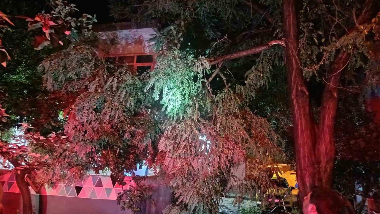 Erdek’te fırtına ve dolu yağışı: Ağaçlar devrildi, çatılar uçtu - BALIKESİR