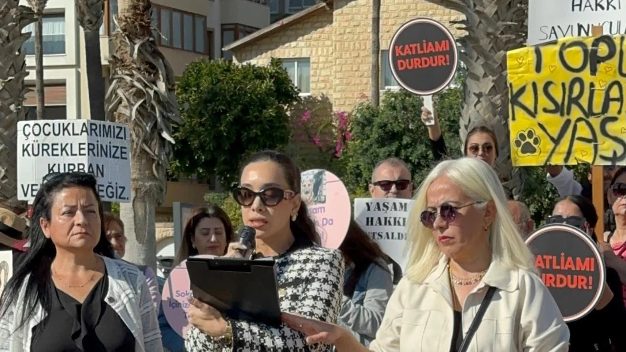 Mersin Barosu Açıklama Yaptı: "köpekler Hızla ve Usulsüz Toplanıyor"