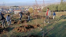 Sandıklı'da Badem Fidanı Dikimi Gerçekleşti