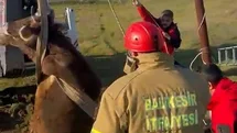 Balıkesir'de Kuyudan İnek Kurtarıldı