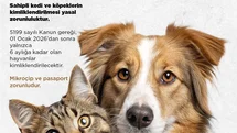 Niğde'de Evcil Hayvan Sahiplerine Uyarı