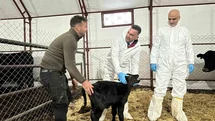 Pertek'te Genç Veterinere Destek Verildi