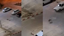 Silifke Devlet Hastanesi’nin " Kurnaz" Misafiri: Otoparkta Tilki Şaşkınlığı!