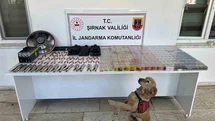 Şırnak'ta Kaçakçılık Operasyonu Yapıldı