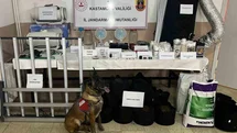 Kastamonu'da Uyuşturucu Operasyonu Gerçekleşti