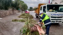 Didim'de Belediye Ekipleri Hızla Çalışıyor