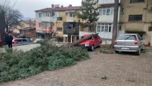 Gediz'de Şiddetli Rüzgar Etkili Oldu