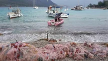 Muğla'da Kadın Balıkçılar Zor Günler Geçiriyor