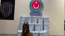 Uyuşturucu Operasyonunda Yaklaşık 2 Milyar Lira Ele Geçirildi