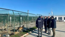 Kaymakam Özderin, Pınarhisar Geçici Hayvan Bakım ve Gözlem Merkezi’nde incelemelerde bulundu
