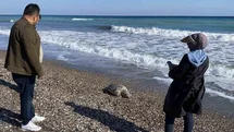 Erdemli Sahillerinde Arka Arkaya Caretta Caretta Ölümleri: Dünkü Ölümün Ardından Bugün Bir Caretta Daha Kıyıya Vurdu