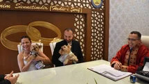 Gaziantep'te Köpeklerle Nikah Töreni