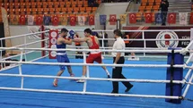 Türkiye Boks Şampiyonası Finali Darıca'da Gerçekleşecek