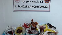 Artvin'de 60 Kilo Yaban Domuzu Eti Ele Geçirildi