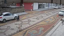 Mardin'de Sokak Köpekleri Çocuğa Saldırdı