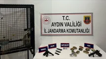 Kuşadası'nda Ruhsatsız Silah ve Maymun Ele Geçirildi