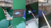 Marina’da Nefes Kesen Kedi Operasyon: Rıhtımda Mahsur Kalan Kedi İçin Seferberlik!