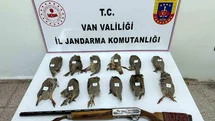Van’da keklik avlayan kişiye 81 bin TL ceza