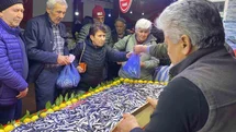Bolu'da Hamsi Bolluğu Yaşanıyor