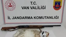Van'da Kaçak Tavşan Avına Ceza