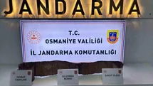 Osmaniye'de Tarihi Eser Bulundu