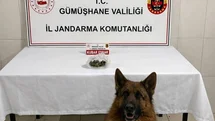 Gümüşhane’de uyuşturucu operasyonu
