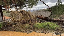 Karacasu’da aşırı yağışlar sonrası toprak kaydı, ağaçlar devrildi