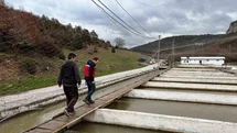 Çavdarhisar’da su ürünleri üretim tesislerinde denetim