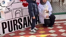 Pursaklar'da Öğrencilerden Kedi Evi Ziyareti