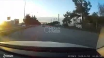 Toroslar’da Sürücüden Muhteşem Refleks: Köpeğe Çarpmamak İçin Ani Manevra Yaptı, Kıl Payı Kurtuldu