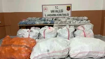 Van'da Gümrük Kaçakçılığı Operasyonu