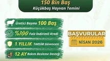 Küçükbaş Hayvan Üretimi İçin Proje Başlıyor