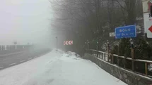 Bolu Dağı'nda Kar Yağışı ve Sis Etkili Oluyor