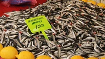 Menteşe pazarında hamsi ucuzladı