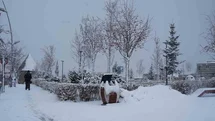 Erzurum’da kar yağışı etkili oluyor