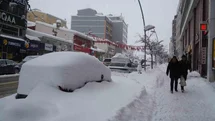 Erzurum'da Kar Yağışı Etkili Oldu
