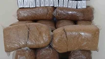 Bafra’da kaçak tütün ve makaron operasyonu