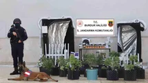 Burdur'da Uyuşturucu İmalathanesi Operasyonu