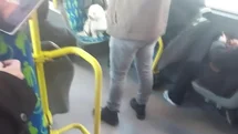 Metrobüste köpek koltukta oturdu, sosyal medyada tartışma başladı