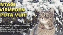 Erzincan'da Sıkışan Kedi Kurtarıldı