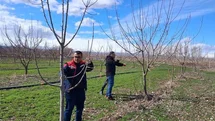 Iğdır’da çiftçilere uygulamalı meyve ağacı budama eğitimi
