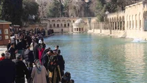 Şanlıurfa'da Balıklıgöl Ziyaretçileri Artıyor