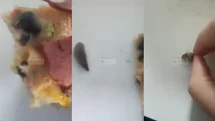 Mersin'de Vatandaşın Sipariş Verdiği Pizzanın İçinden "Yabancı Madde" Çıktı