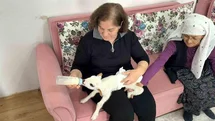 Öksüz kuzu "Balım", Şenol ailesinin şefkatiyle hayata tutundu