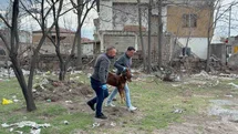 Kayseri'de Başıboş Köpek Saldırısı