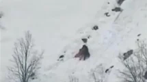 Kış Uykusundan Uyanan Ayılar Karla Oynadı