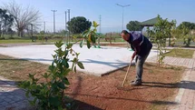 Işıklı Parkı'nda Çevre Düzenlemesi Başladı