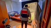 Yalova’da evinde uyuşturucu yetiştiren şüpheli yakalandı