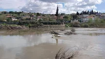 Büyük Menderes Nehri'nde Taşköprü Sular Altında Kaldı